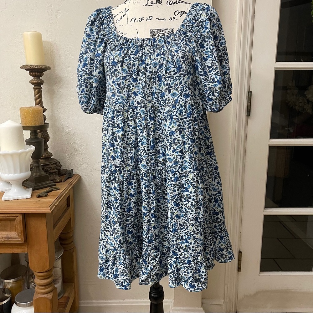 wild fable Blue and White Floral Midi Dress